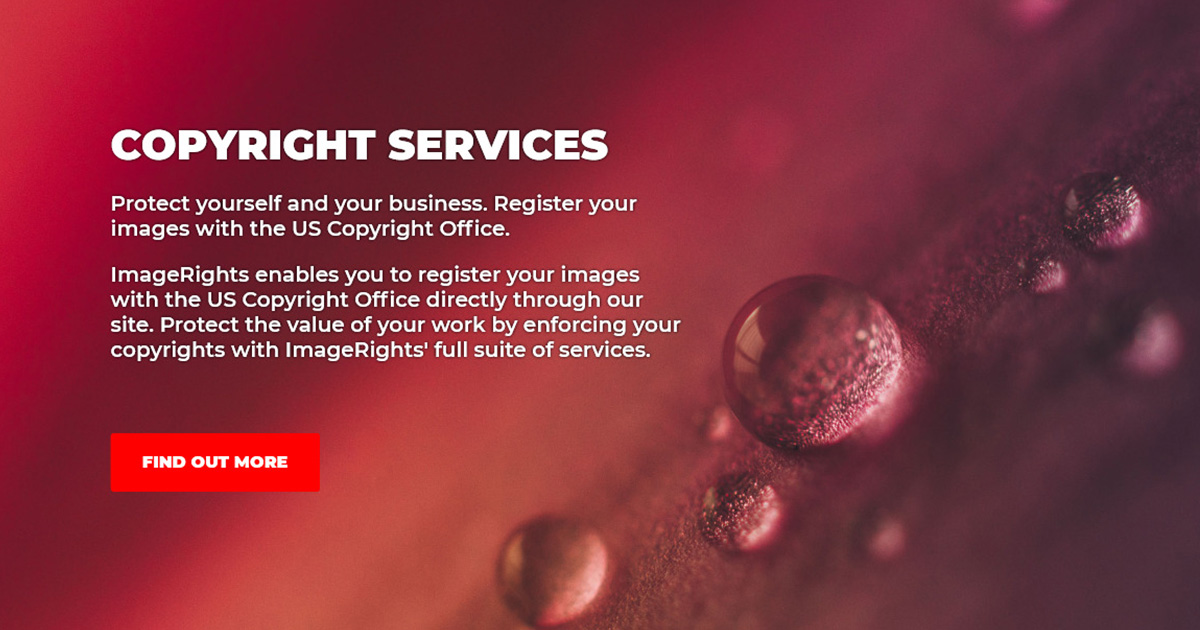 ImageRights Copyright Service